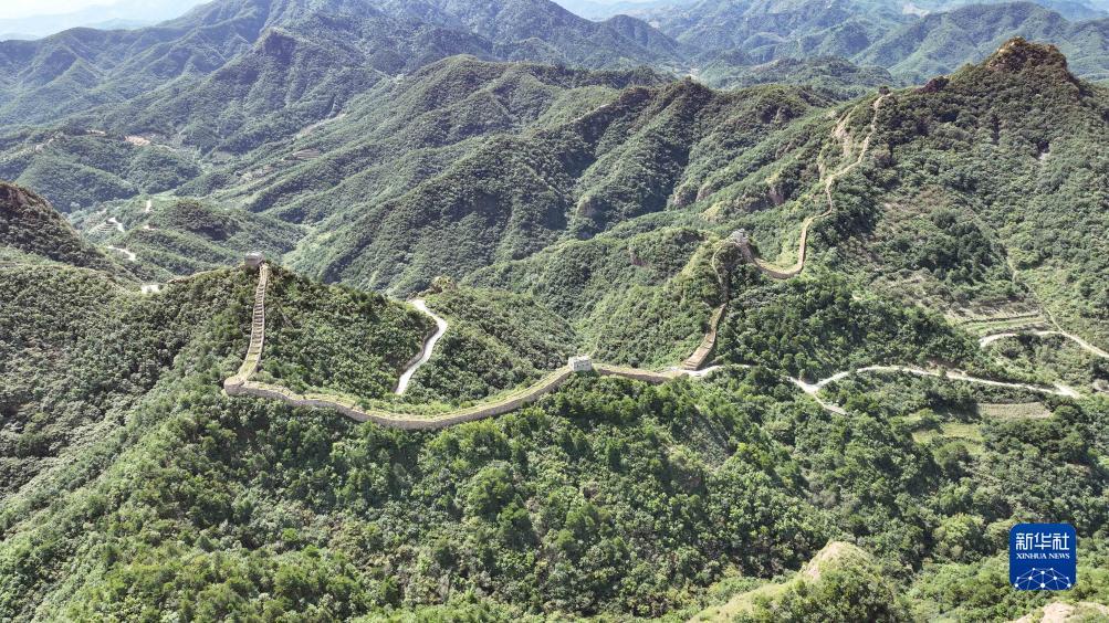 捕鱼游戏免费试玩不用登录